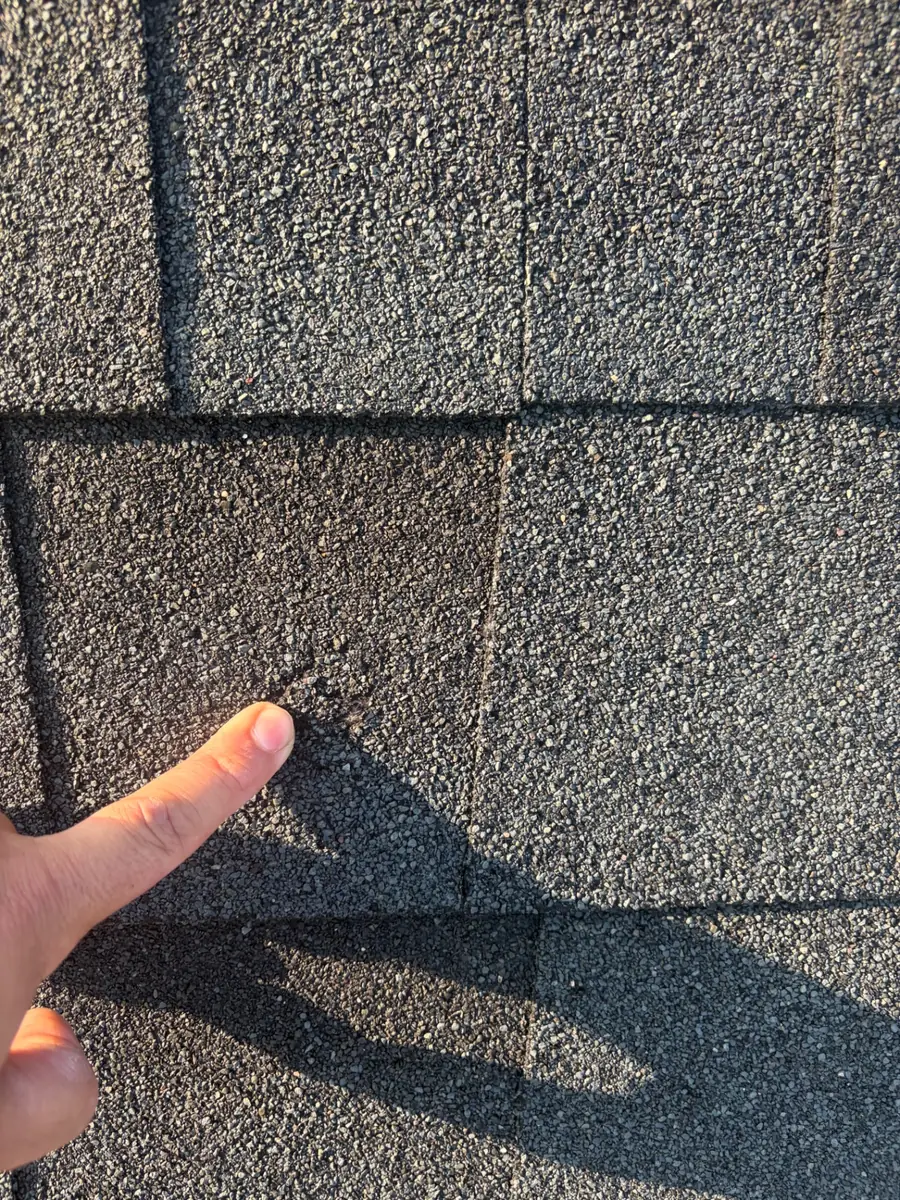 Close-up of asphalt shingles documented during a Western Springs roof inspection